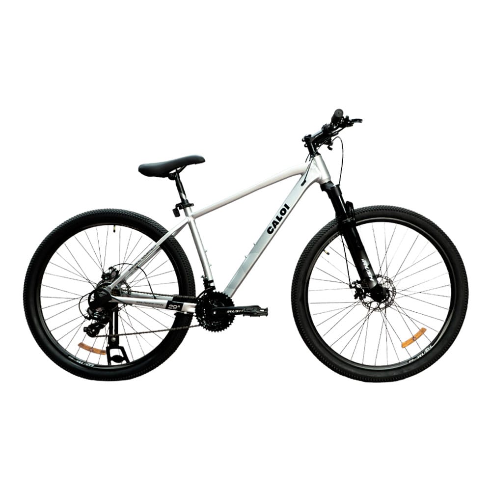 BICI CALOI PRO 9900 29" PLATA
