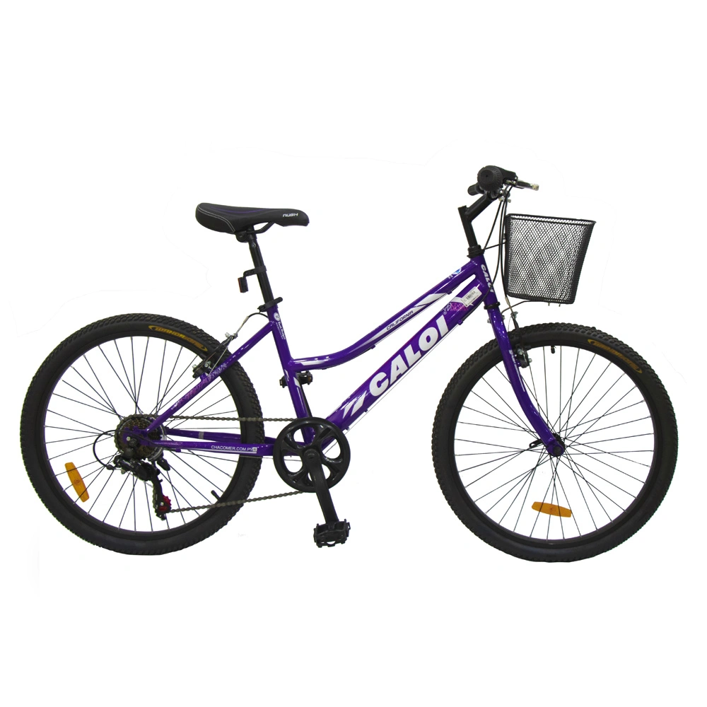 BICI.CALOI CALIFORNIA 24" LILA  41017282L24