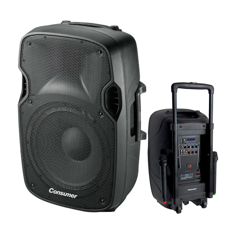 PARLANTE CONSUMER SPEAKER C/PEDESTAL 12