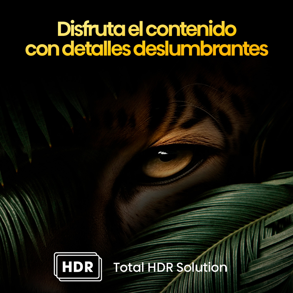 TELEVISOR HISENSE 85" 85Q6N SMART 4K QLED